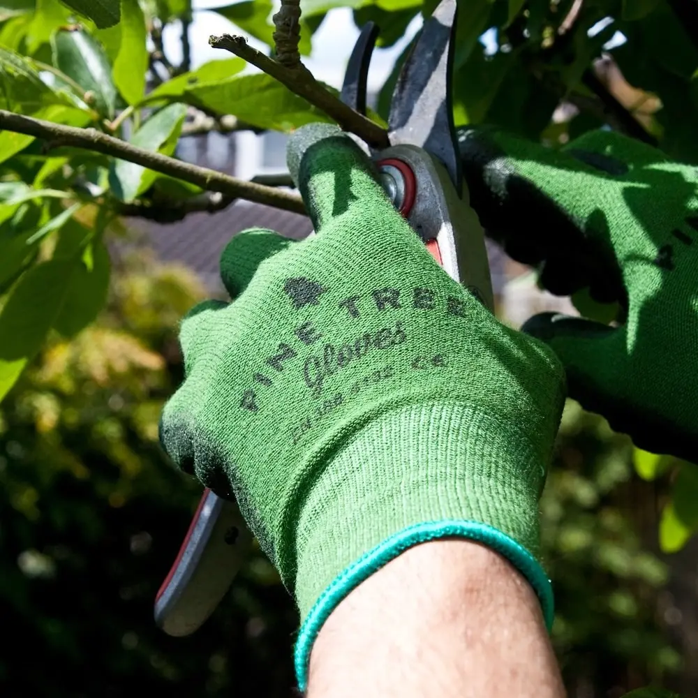 Gardening 101: How to get your garden started right