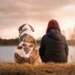 Five ways to get healthier (and happier) with your pet